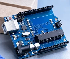 Microcontrollers (MCUs)